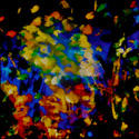 Click to Enlarge Click to Enlarge